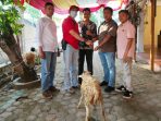 Idul Adha 1442 H, GMD Sumut Sembelih Satu Ekor Kambing
