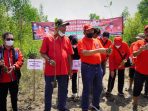 HUT 49, DPC PDIP Langkat Tanam Mangrove