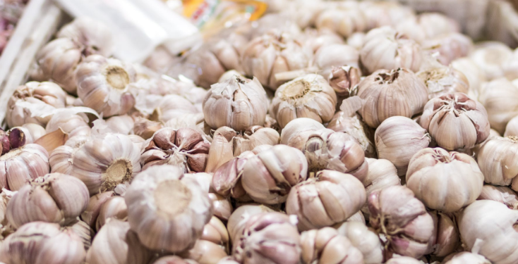 Harga Bawang Putih Masih Terus Nanjak, Tidak Akan Untungkan Petani di Sumut