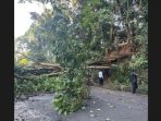 Ada Pohon Tumbang, Jalur Medan-Berastagi Terputus