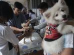 Waspadai Penularan Rabies Lewat Luka Terbuka pada Tubuh