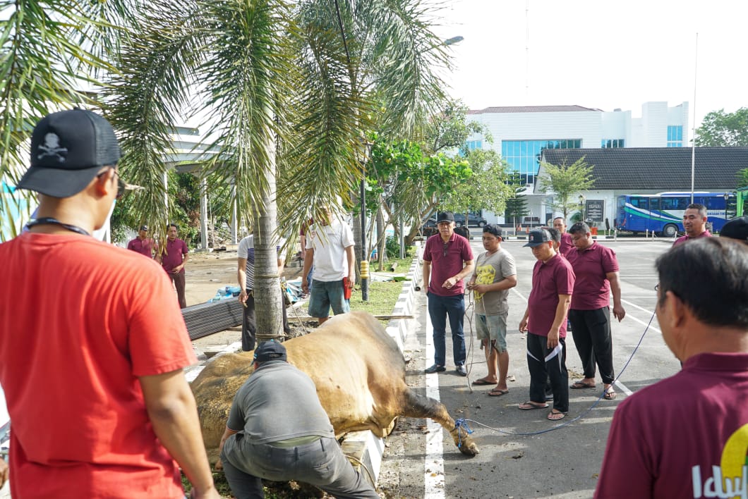 Idul Adha, Kejati Sumut Sembelih 8 Ekor Sapi dan 6 Kambing