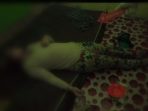 Polisi Tangkap Pembunuh Terapis Kusuk Lulur Julia Jalan T. Amir Hamzah