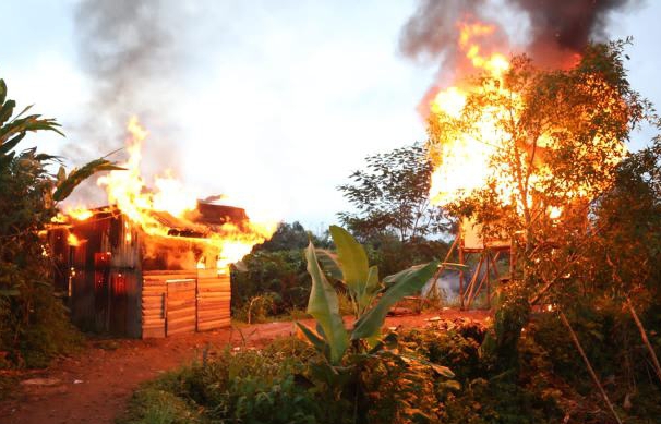 Polda Sumut Bakar Gubuk Narkoba dan Judi di Sibolangit, 17 Orang Diamankan