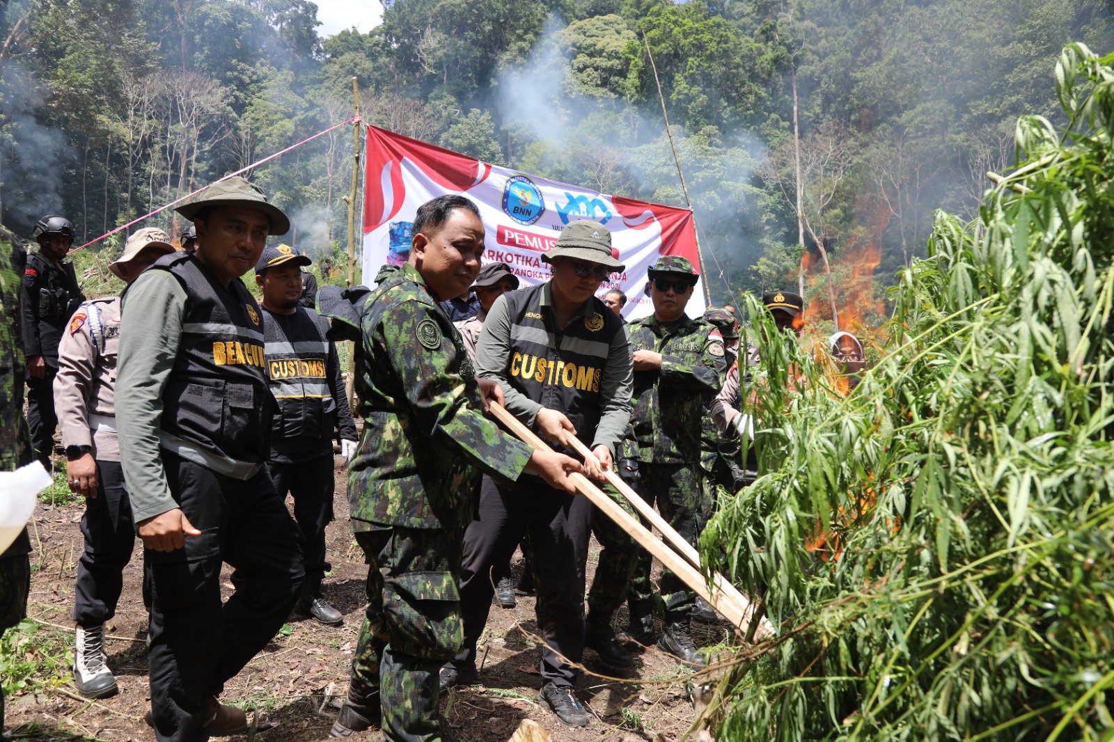 BNN Musnahkan 2,5 Hektar Lahan Ganja di Aceh Besar