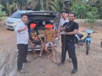Dua Pemuda Jarah 16 Paket Daging Beku untuk Program Makan Bergizi Gratis