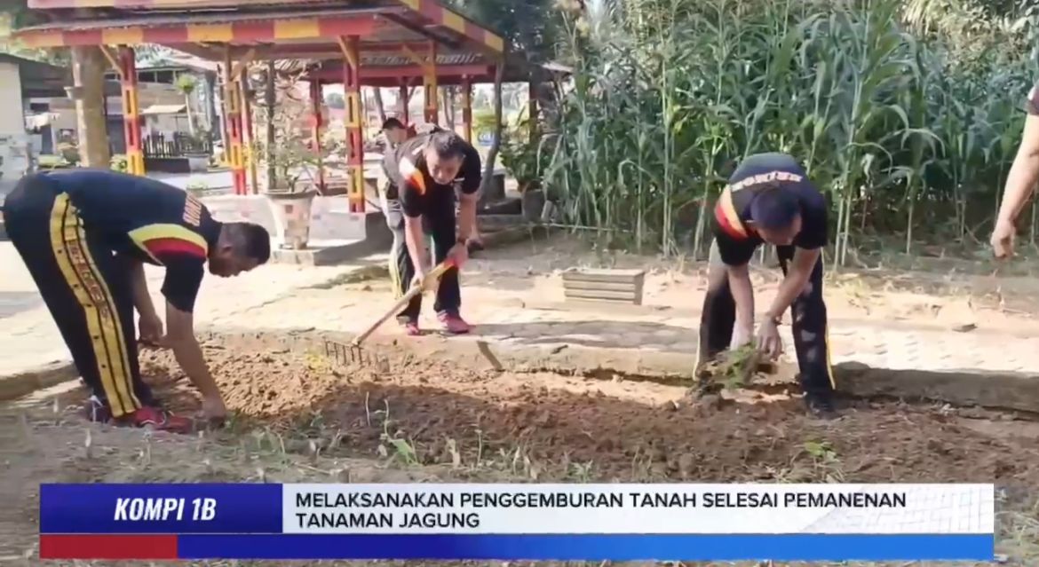 Brimob Polda Sumut Produktif Kelola Lahan Untuk Ketahanan Pangan