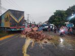 Jalinsum Torgamba "Dibanjiri" Telur, Tabrak Truk Penumpang Pick Up Kritis