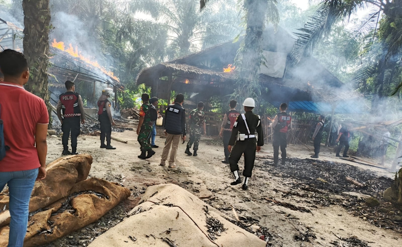 Razia Arena Sabung Ayam di Pancur Batu, Denpom I/5 dan Polrestabes Medan Bakar Gubuk Judi