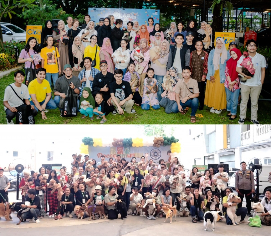 Ratusan Pecinta Kucing dan Anjing Hadir di Cleofest & Roccommunity 2025 Medan