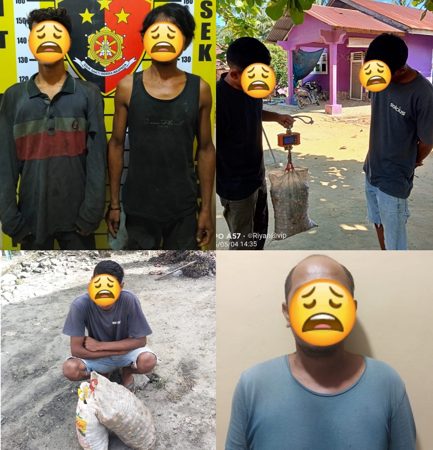 Tim Satgasus Cursat Polres Labusel Tangkap 6 Pencuri Sawit 