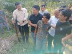 Pelaku Pembunuhan Sadis di Kebun Sawit di Labusel Ditangkap Kurang 1 x 24 Jam, Ini Motifnya
