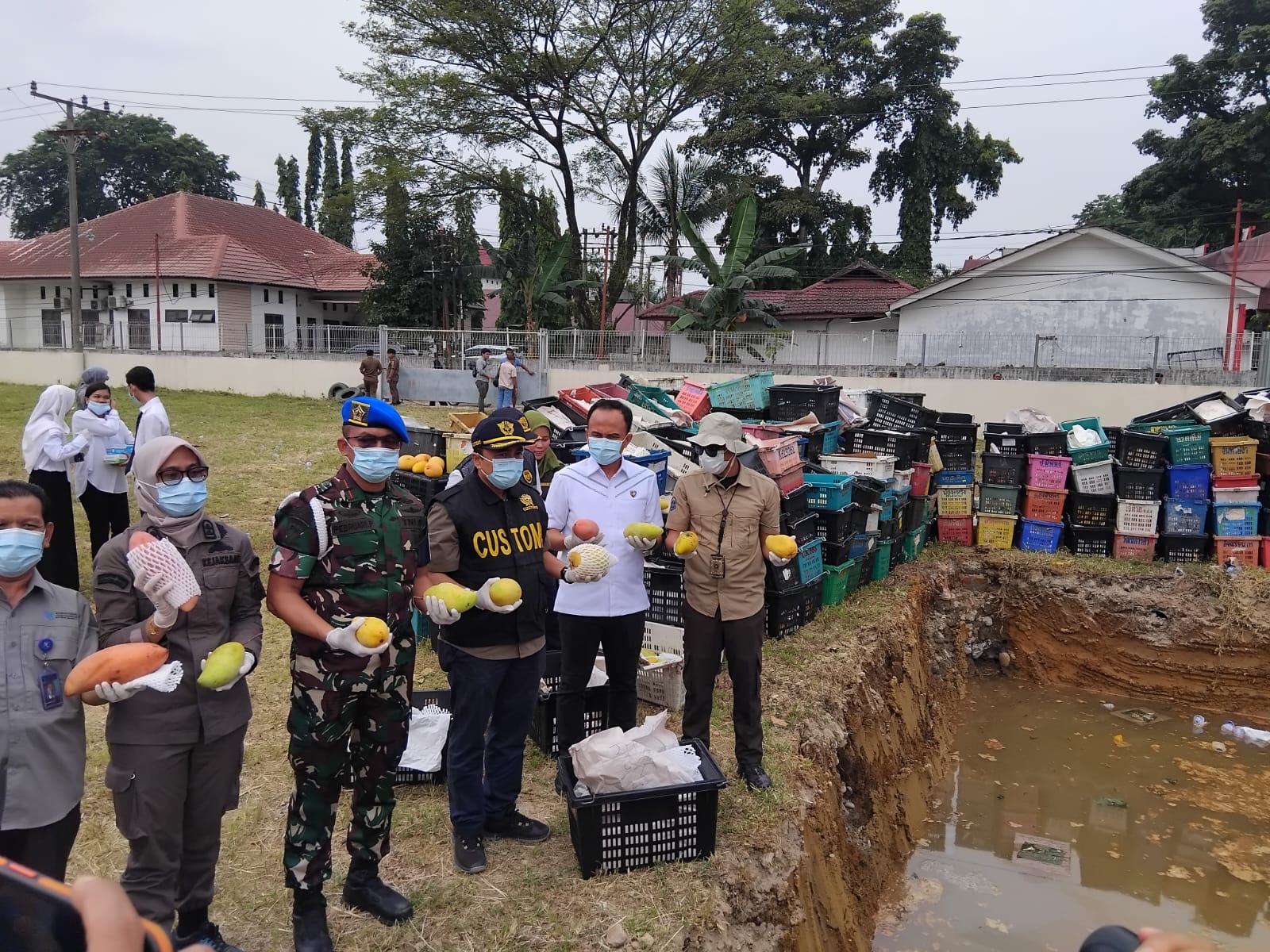 Dandenpom I/5 Medan Hadiri Pemusnahan Buah Mangga Ilegal Asal Thailand