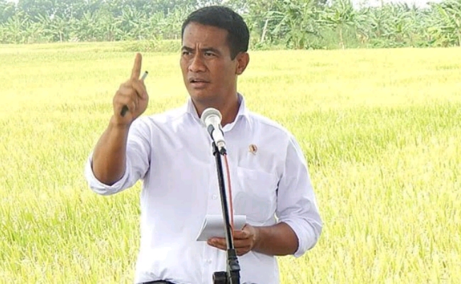 Menteri Pertanian Tegaskan Harga Beras Harus Diturunkan Sesuai Kualitas