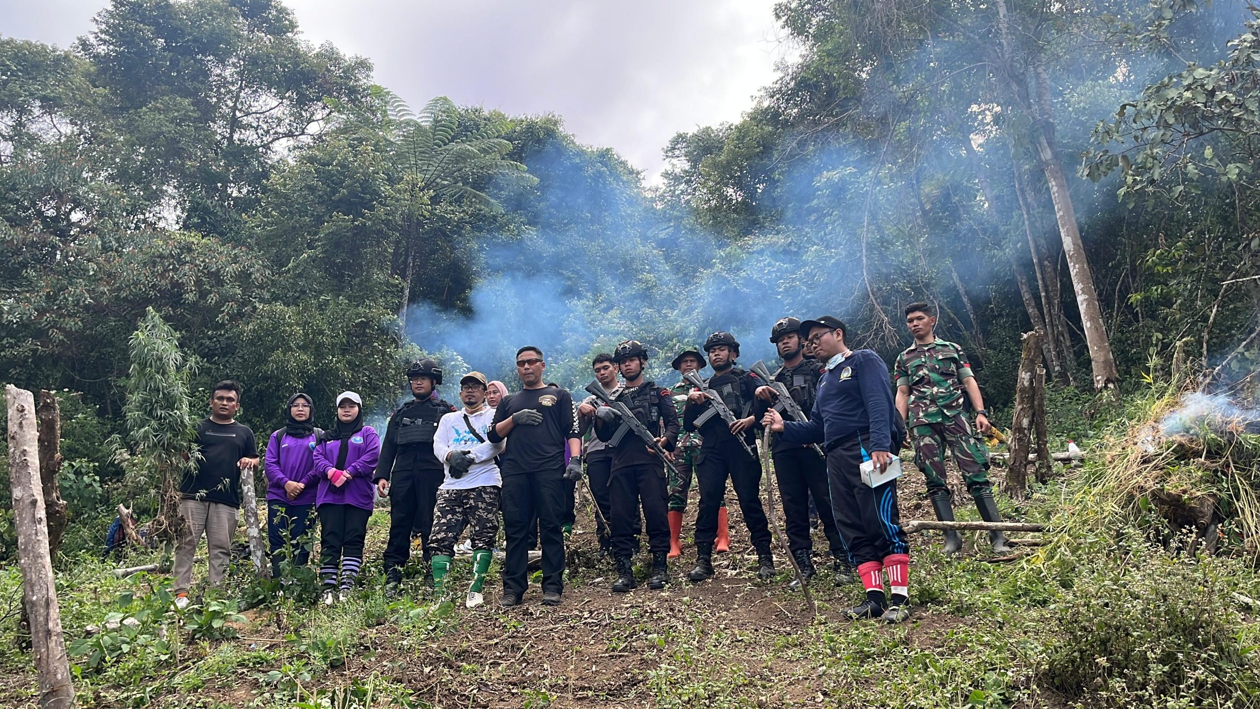 Brimob dan BNNP Sumut Musnahkan 2 Hektar Ladang Ganja di Kab. Madina