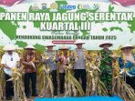 Panen Raya Jagung Kuartal III: Polda Sumut Komitmen Wujudkan Swasembada Pangan