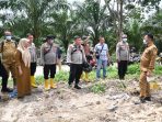 Kapolres Labusel Tinjau Penanaman Jagung Serentak Kuartal IV : Dorong Swasembada Pangan dan Kemandirian Petani