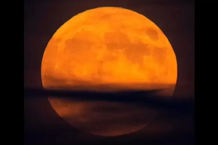 Fenomena Supermoon Hiasi Langit Indonesia pada 5 November 2025, Begini Cara Menyaksikannya
