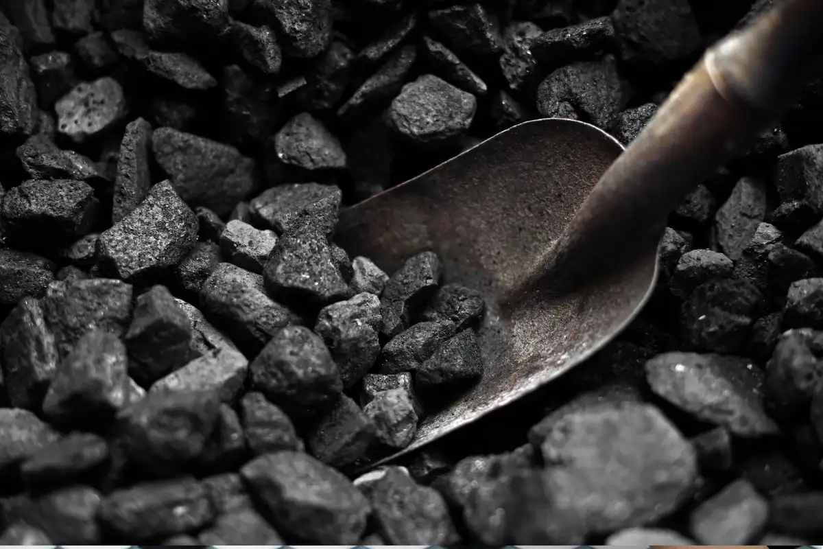 Bea Keluar Batu Bara Berpotensi Tambah Pendapatan Negara hingga Rp19 Triliun pada 2026