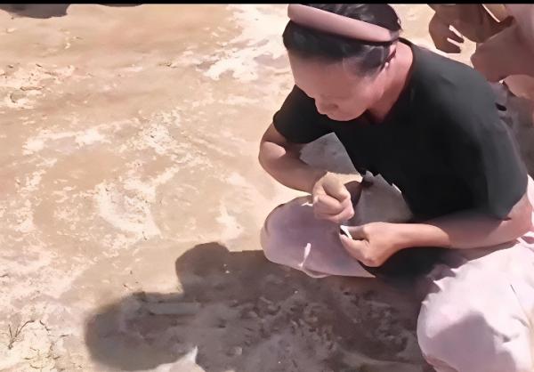 Viral Video Warga Memunguti Beras Bantuan yang Jatuh dari Helikopter di Taput, Pemprov Sumut Beri Penjelasan