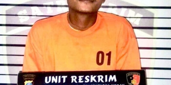 Polsek Medan Area Tangkap Penjual Sate Curi Barang Elektronik