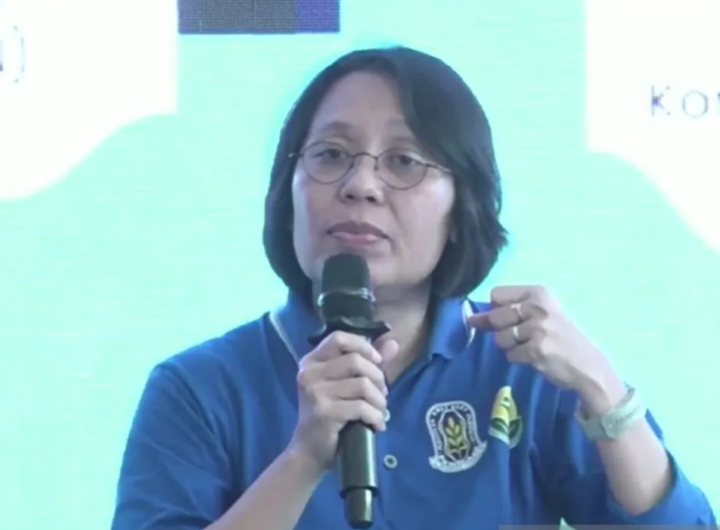 Kemenkes Harap Program MBG Tekan Angka Anemia Ibu Hamil