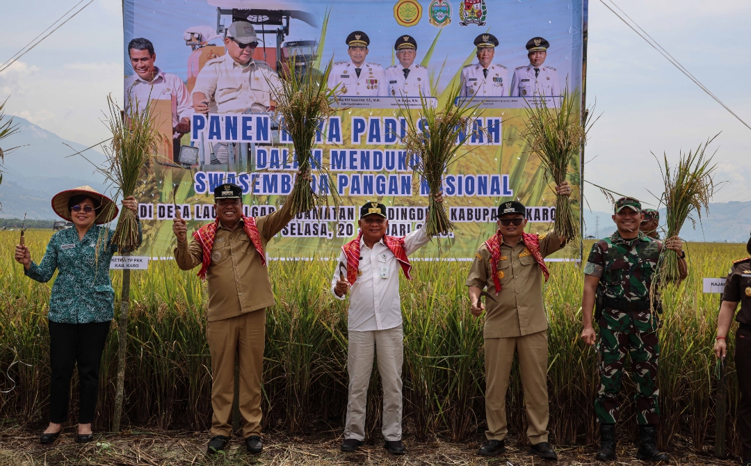 Panen Raya Padi di Karo, Wagub Sumut Pastikan Keberpihakan Pemerintah kepada Petani