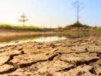 Dua Kabupaten di Kepri Mulai Mengalami Kekeringan