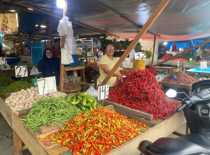 Pasokan Kebutuhan Pangan Hingga Idul Fitri Tersedia, Bukan Berarti Harga Tidak Akan Naik