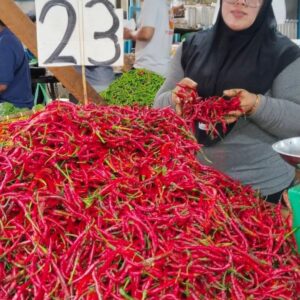 Belanja Masyarakat Kembali Turun, Harga Sejumlah Cabai Berjatuhan