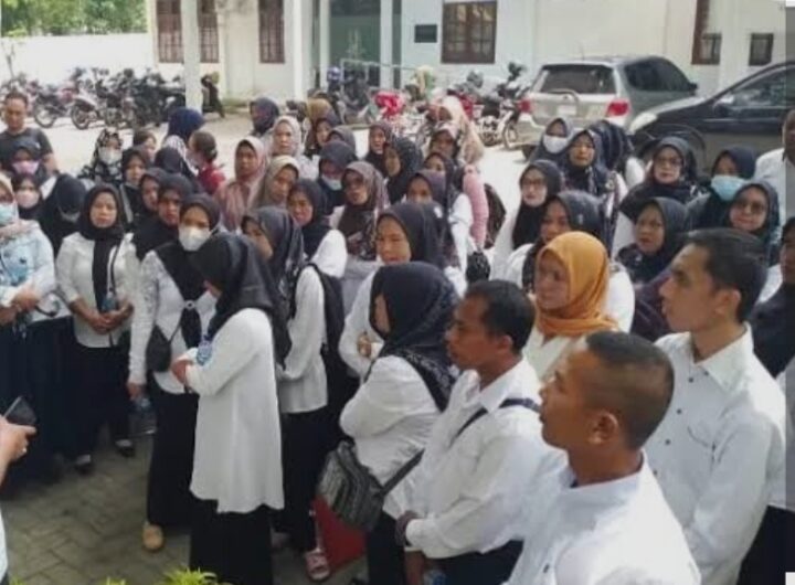 Harapan Guru Honorer Langkat Usai Putusan MA, Polemik Nilai SKTT PPPK 2023 Disorot