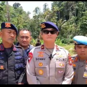 3 Bulan Beroperasi, Tambang Emas Ilegal di Tapsel-Madina Beromzet Rp 600 Juta Perhari