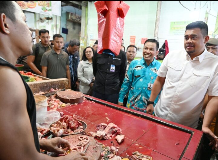 Harga Daging Ayam di Sumut Mulai Turun, Pemprov Intensifkan Stabilisasi Jelang Idul Fitri