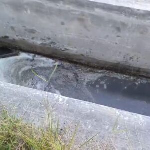 Limbah Busuk SPPG Komplek Aspol Langkat, Resahkan Masyarakat