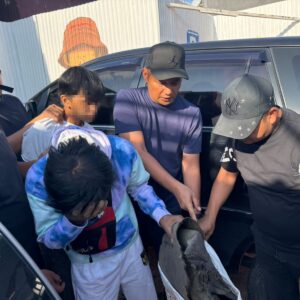 Perdagangan Ilegal Satwa Dilindungi Digagalkan di Sipirok, Polisi Amankan Sisik Trenggiling hingga Kulit Kijang