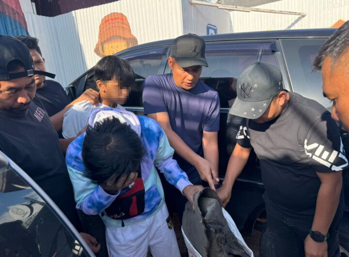 Perdagangan Ilegal Satwa Dilindungi Digagalkan di Sipirok, Polisi Amankan Sisik Trenggiling hingga Kulit Kijang