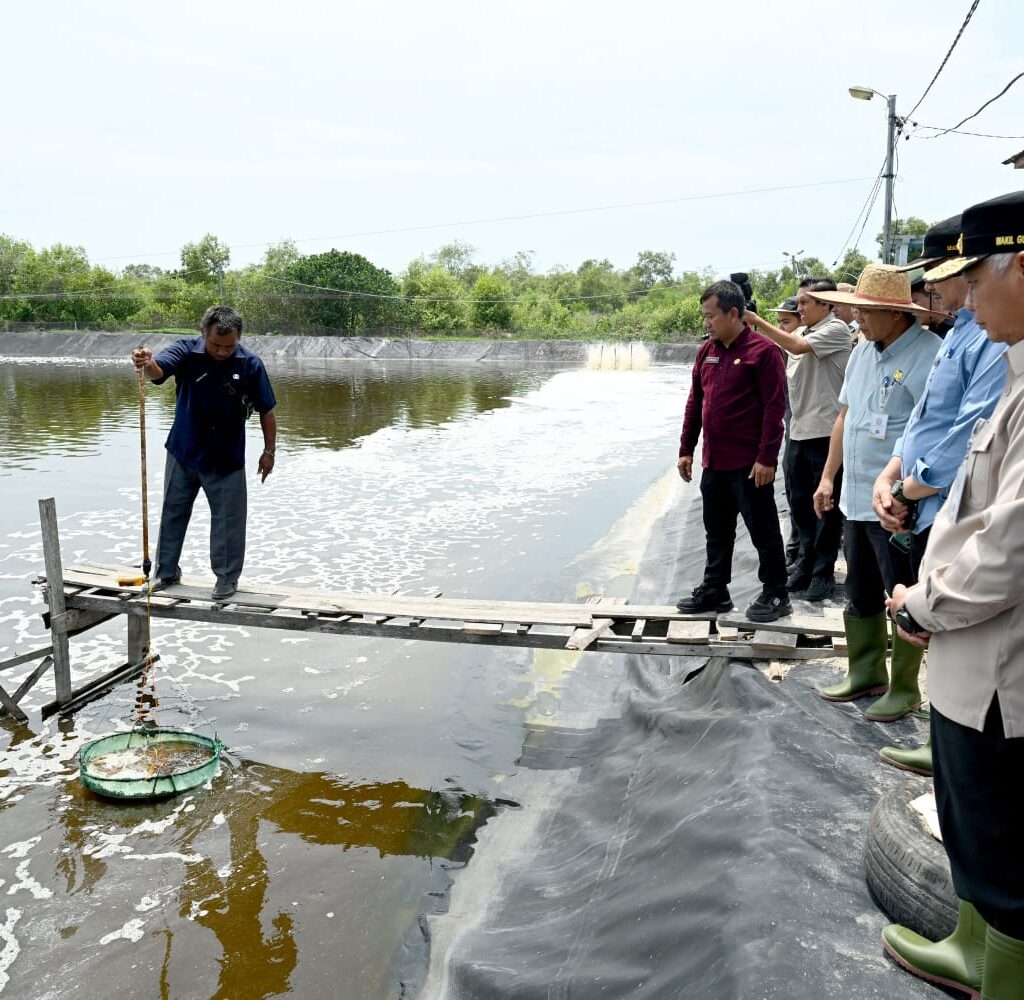 Tinjau UPTD BIAPAL Sialang Buah, Wagub Sumut Surya Dorong Peningkatan PAD Sektor Perikanan