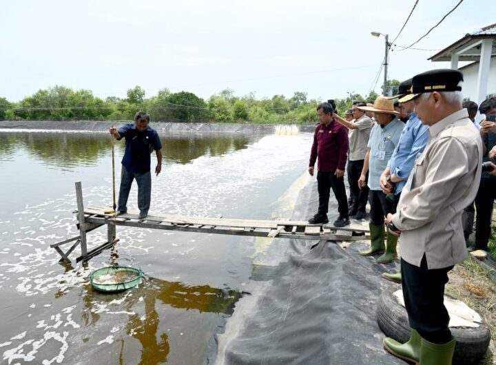 Tinjau UPTD BIAPAL Sialang Buah, Wagub Sumut Surya Dorong Peningkatan PAD Sektor Perikanan