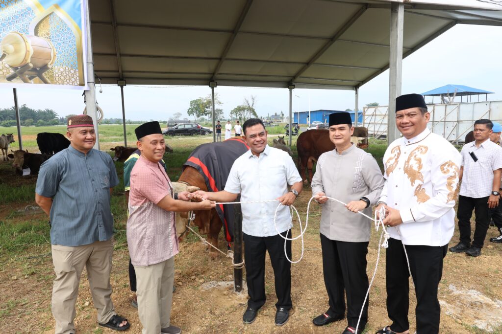Polda Sumut Sembelih 31 Ekor Sapi, Dari Kapolda Bobot 1 Ton