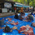 Forum Jurnalis Medan Sembelih 4 Hewan Kurban, Merawat Kebersamaan dan Pererat Tali Silaturahmi
