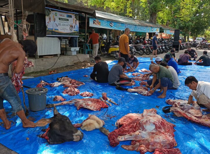 Forum Jurnalis Medan Sembelih 4 Hewan Kurban, Merawat Kebersamaan dan Pererat Tali Silaturahmi