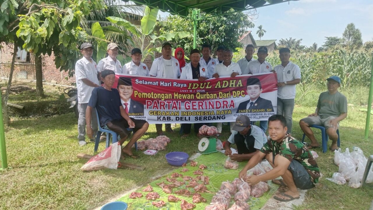 Sembelih 1 Ekor Sapi, PAC Gerindra Kec. Hamparan Perak Salurkan Daging Kurban kepada Warga