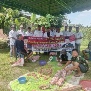Sembelih 1 Ekor Sapi, PAC Gerindra Kec. Hamparan Perak Salurkan Daging Kurban kepada Warga