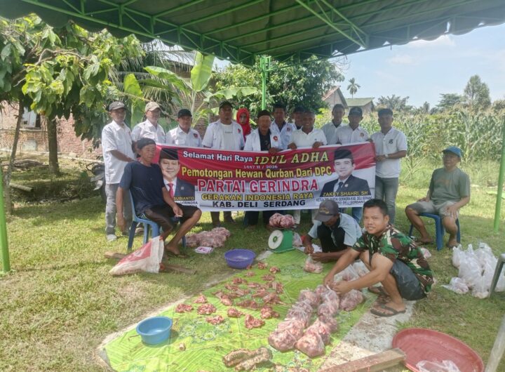 Sembelih 1 Ekor Sapi, PAC Gerindra Kec. Hamparan Perak Salurkan Daging Kurban kepada Warga