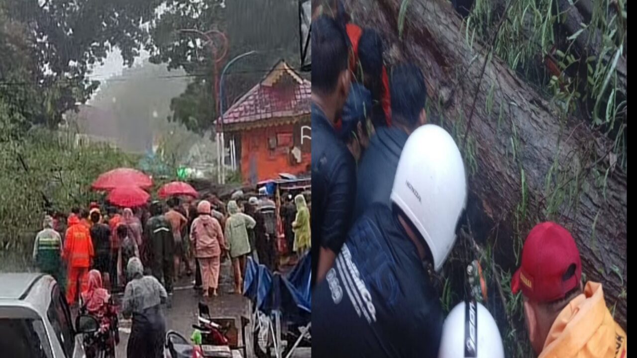 Hujan Disertai Angin Kencang,  Pedagang Bakso dan Gerobaknya Tertimpa Pohon Tumbang di Tanah Lapang Binjai