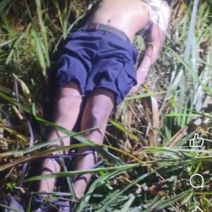 Driver Taksi Online Ditemukan Tewas di Perkebunan Tebu Hamparan Perak, Kaki Diikat dan Mobil Hilang