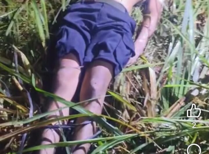 Driver Taksi Online Ditemukan Tewas di Perkebunan Tebu Hamparan Perak, Kaki Diikat dan Mobil Hilang