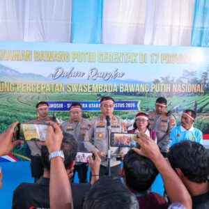 Polda Sumut Tanam Bawang Serentak di Samosir, Targetkan Panen 60 Ton Lebih