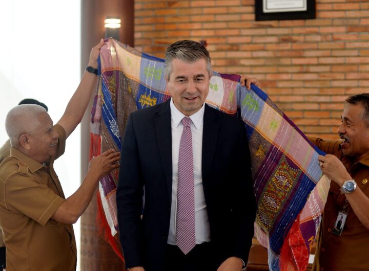 Wagub Surya Tawarkan Potensi Investasi Sumut kepada Duta Besar Belgia