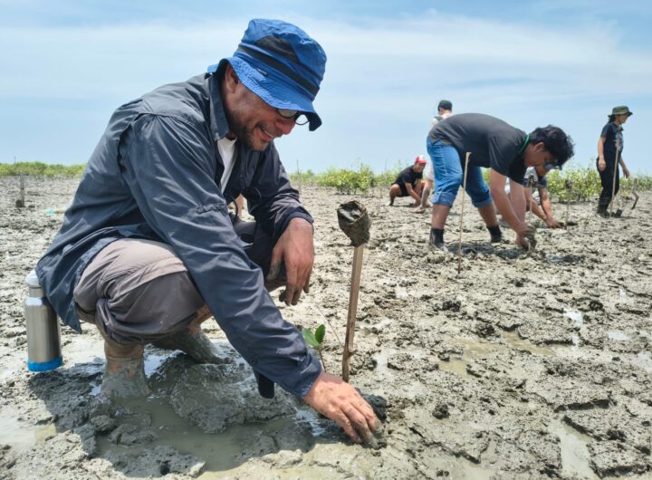 Aksi Bela Negara 2026, NAFAS dan POSSI Sumut Tanam Mangrove hingga Transplantasi Terumbu Karang